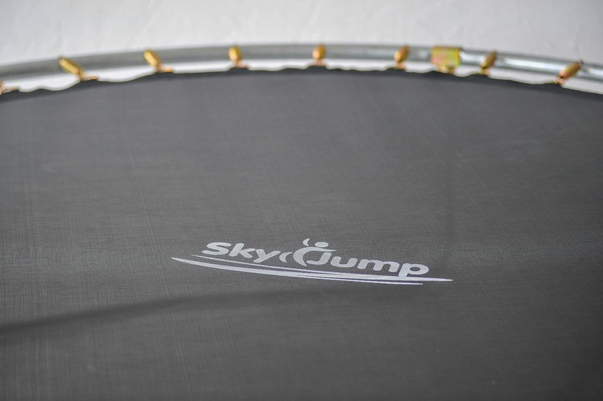 Батут SkyJump із захисною сіткою та драбинкою 10 ft, 312 см SJ10ft252 фото